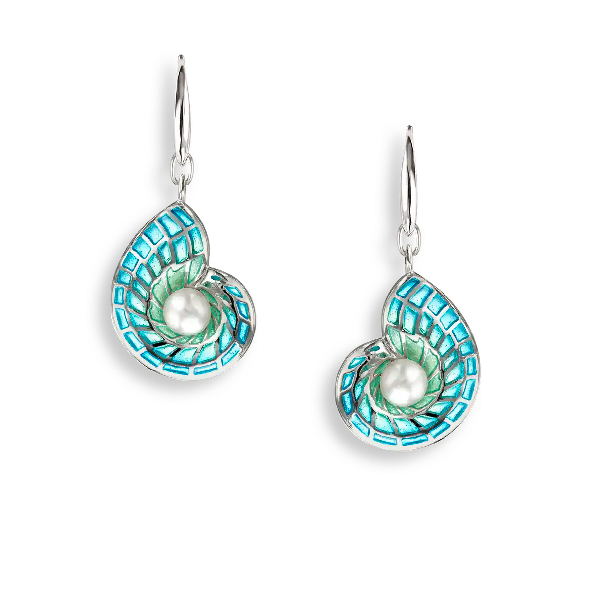 Blue Plique-a-Jour Nautilus Shell Wire Earring